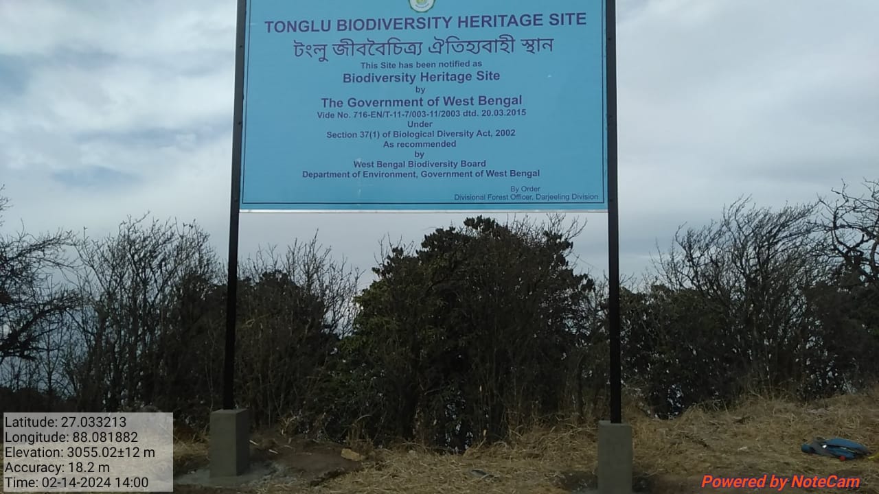 Biodiversity Heritage Site - Tonglu Medicinal Plant Conservation Area, Darjeeling